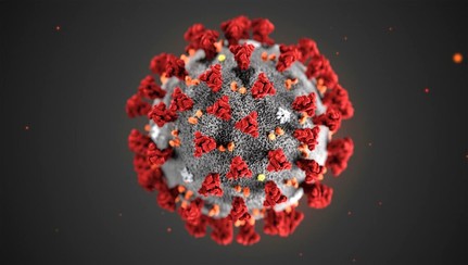 CoronaVirus photo (courtesy CDC)